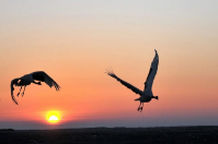 成都智絡軟件7月戶外拓展活動