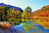 陜西省延安市黃龍縣樹頂漫步