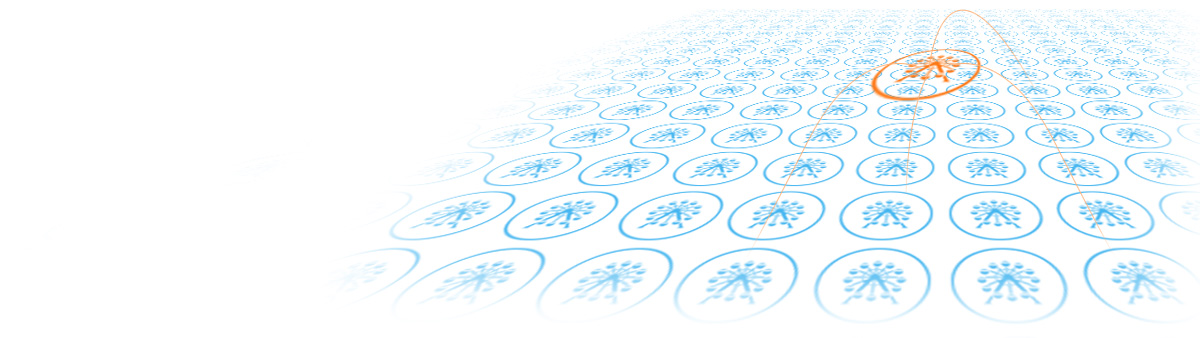 游樂場會員軟件背景